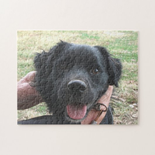 Smokey-Posen für Kamera Puzzle (Horizontal)