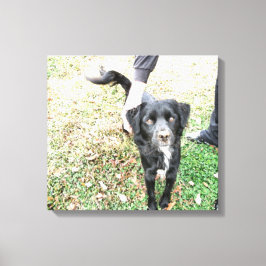 Smokey-Posen für Kamerasonden Leinwanddruck