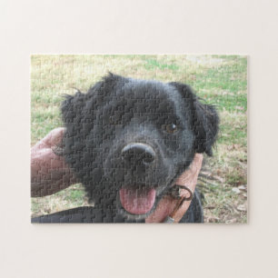 Smokey Poses For Camera Puzzle
