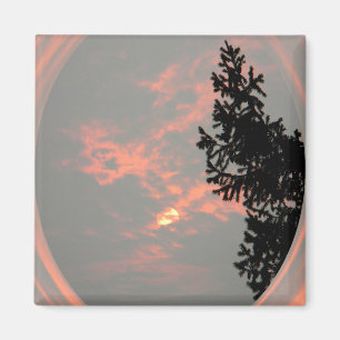 Smokey Sun .... Magnet