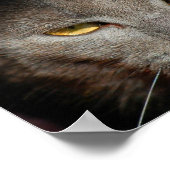 Smokey the Cat Poster (Ecke)