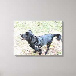 Smokey wartet auf einen Spaziergang Leinwanddruck