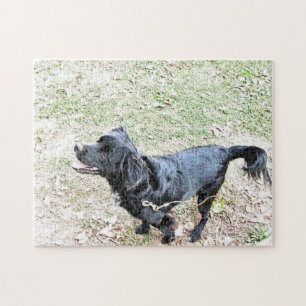 Smokey Wartet darauf, einen Spaziergang zu machen Puzzle
