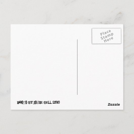 Smokin-Giraffe Postkarte (Rückseite)