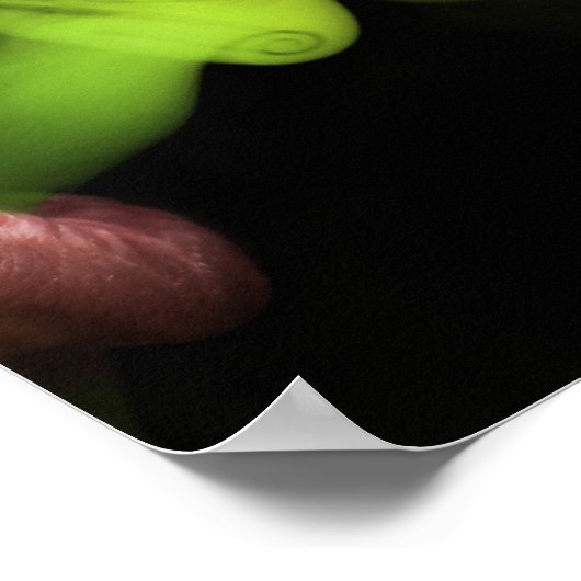 Smokin' Poster (Ecke)