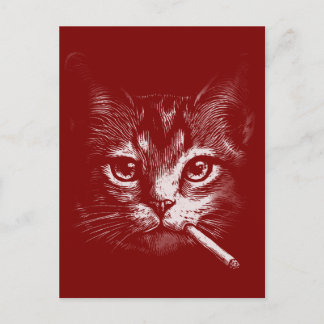 Smoking Cat Funny Postkarte