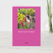 Smoking-Cat schnuppert an Blumen Lustiger Valentin Karte (Rückseite)