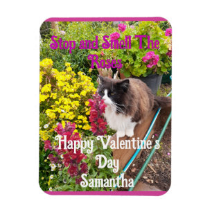 Smoking-Cat schnuppert an Blumen Lustiger Valentin Magnet