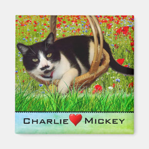 Smoking-Catze-Korb-Kühlschrank-Magnet Magnet