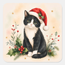 Smoking-Christmas-Katze in Weihnachtsmannmütze