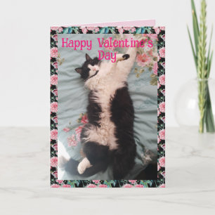 Smoking-Katze Niedlich Lustiger Valentinstag Glück Karte