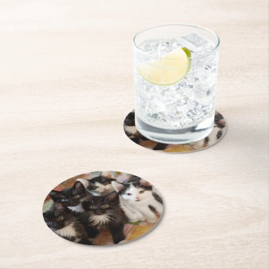 Smokings-Kätzchen Runder Pappuntersetzer (Vor Ort)