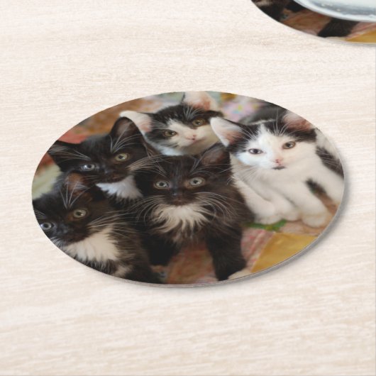 Smokings-Kätzchen Runder Pappuntersetzer (Angewinkelt)