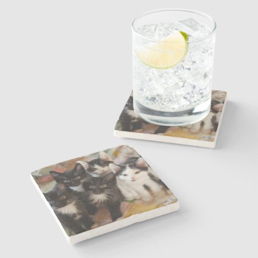 Smokings-Kätzchen Steinuntersetzer (Seitenansicht)