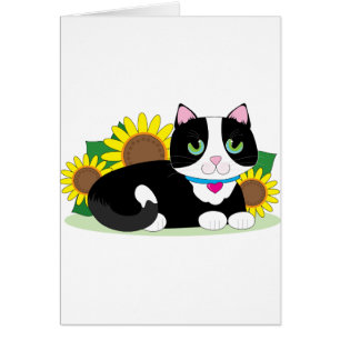 Smokings-Katze