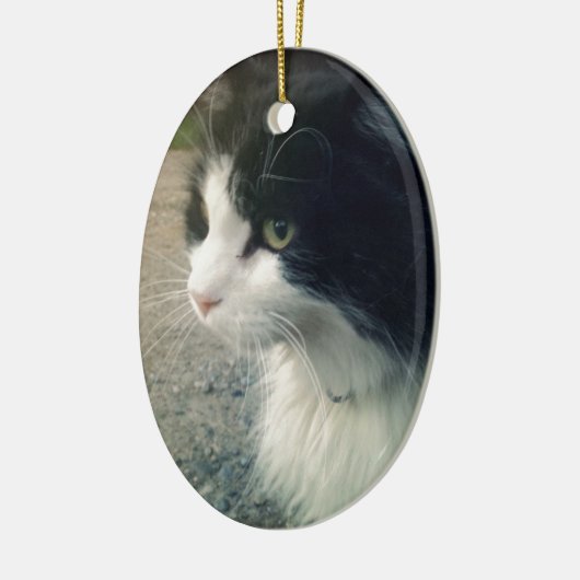 Smokings-Katze Keramikornament (Links)