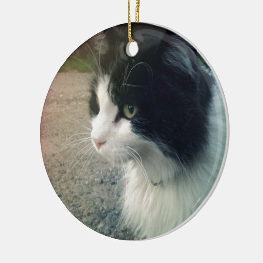 Smokings-Katze Keramikornament (Links)