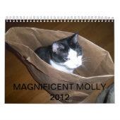 Smokings-Katze "Molly " Kalender (Titelbild)