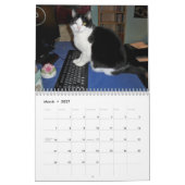 Smokings-Katze "Molly " Kalender (Mär 2027)