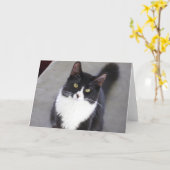 Smokings-Katzen-Gruß-Karte Karte (Gelbe Blume)