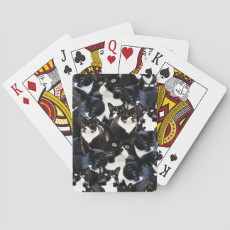 Smokings-Katzen-Verrücktheit Spielkarten