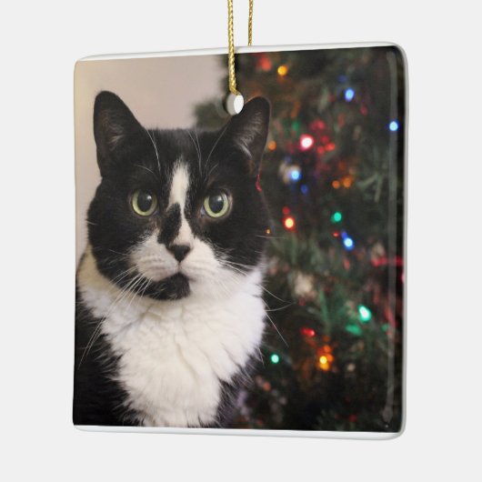 Smokings-Katzen-Weihnachtsverzierung Keramikornament (Links)
