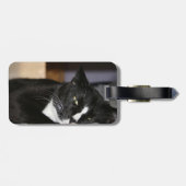 Smokingskatzen-unten Schwarzweiss-liegen ein Auge Gepäckanhänger (Rückseite horizontal)