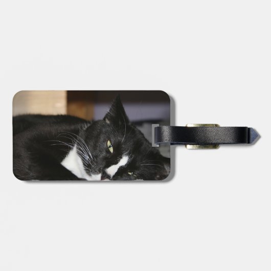 Smokingskatzen-unten Schwarzweiss-liegen ein Auge Gepäckanhänger (Rückseite horizontal)