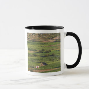 Smokvica-Weinberge auf Korcula von der Toreta Tasse
