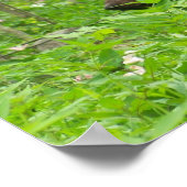 Smoky-Bär Poster (Ecke)