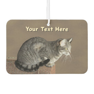 Smoky Gray Tabby Cat Autolufterfrischer