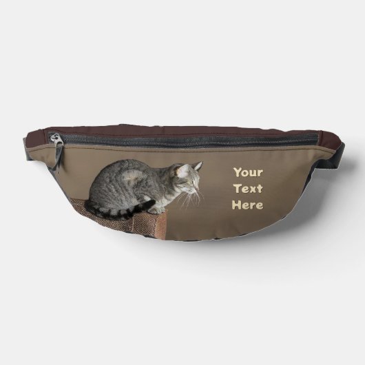 Smoky Gray Tabby Cat Bauchtasche (Ablage )