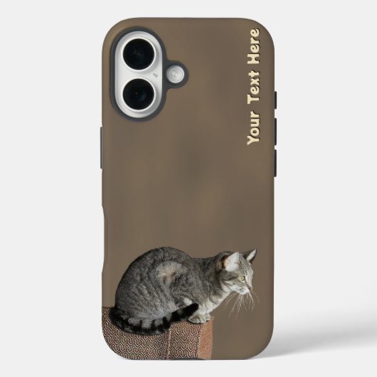 Smoky Gray Tabby Cat Case-Mate iPhone Hülle (Rückseite)