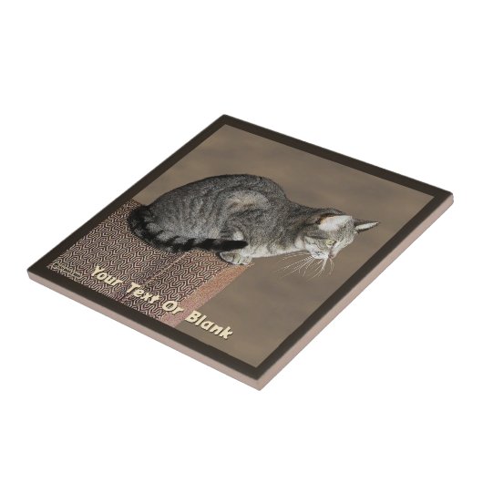 Smoky Gray Tabby Cat Fliese (Seite)