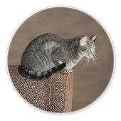 Smoky Gray Tabby Cat Keramikknauf (Vorderseite)