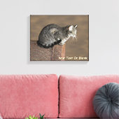 Smoky Gray Tabby Cat Leinwanddruck (Insitu (Wohnzimmer))