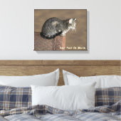 Smoky Gray Tabby Cat Leinwanddruck (Insitu (Schlafzimmer))