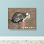 Smoky Gray Tabby Cat Leinwanddruck (Insitu (Holzboden))