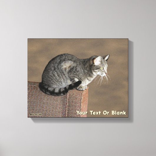 Smoky Gray Tabby Cat Leinwanddruck (Vorderseite)