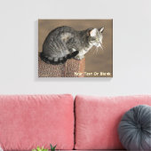 Smoky Gray Tabby Cat Leinwanddruck (Insitu (Wohnzimmer))