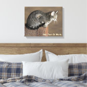 Smoky Gray Tabby Cat Leinwanddruck (Insitu (Schlafzimmer))