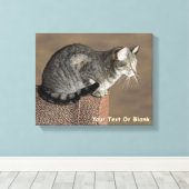 Smoky Gray Tabby Cat Leinwanddruck (Insitu (Holzboden))