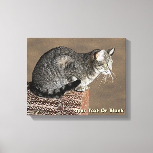 Smoky Gray Tabby Cat Leinwanddruck (Vorderseite)