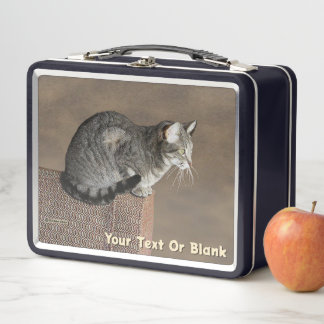 Smoky Gray Tabby Cat Metall Brotdose