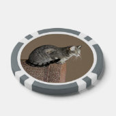 Smoky Gray Tabby Cat Pokerchips (Einzeln)