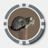 Smoky Gray Tabby Cat Pokerchips (Vorderseite)