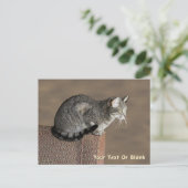 Smoky Gray Tabby Cat Postkarte (Stehend Vorderseite)