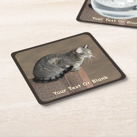 Smoky Gray Tabby Cat Rechteckiger Pappuntersetzer (angewinkelt)