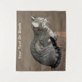 Smoky Gray Tabby Cat Wandteppich (Vorderseite)