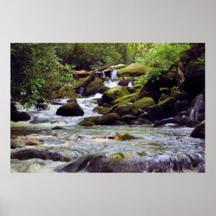 Smoky Mounstream - GSMNP Poster
